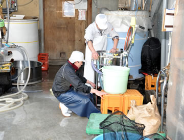 岩崎酒造 写真イメージ