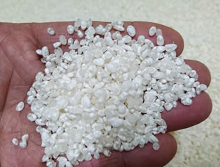 岡崎酒造 写真イメージ