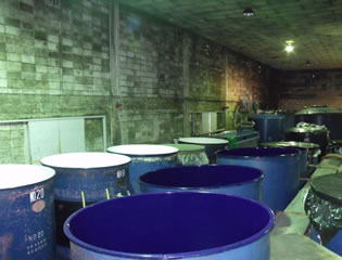 岡崎酒造 写真イメージ