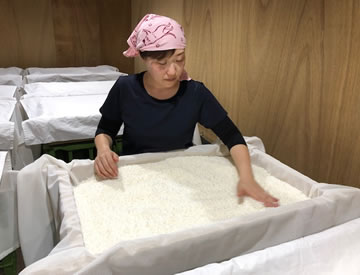 八千代酒造 写真イメージ