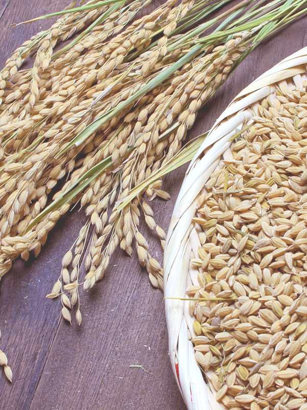 【公式】萩阿武の地酒、日本酒を「萩酒米みがき協同組合」