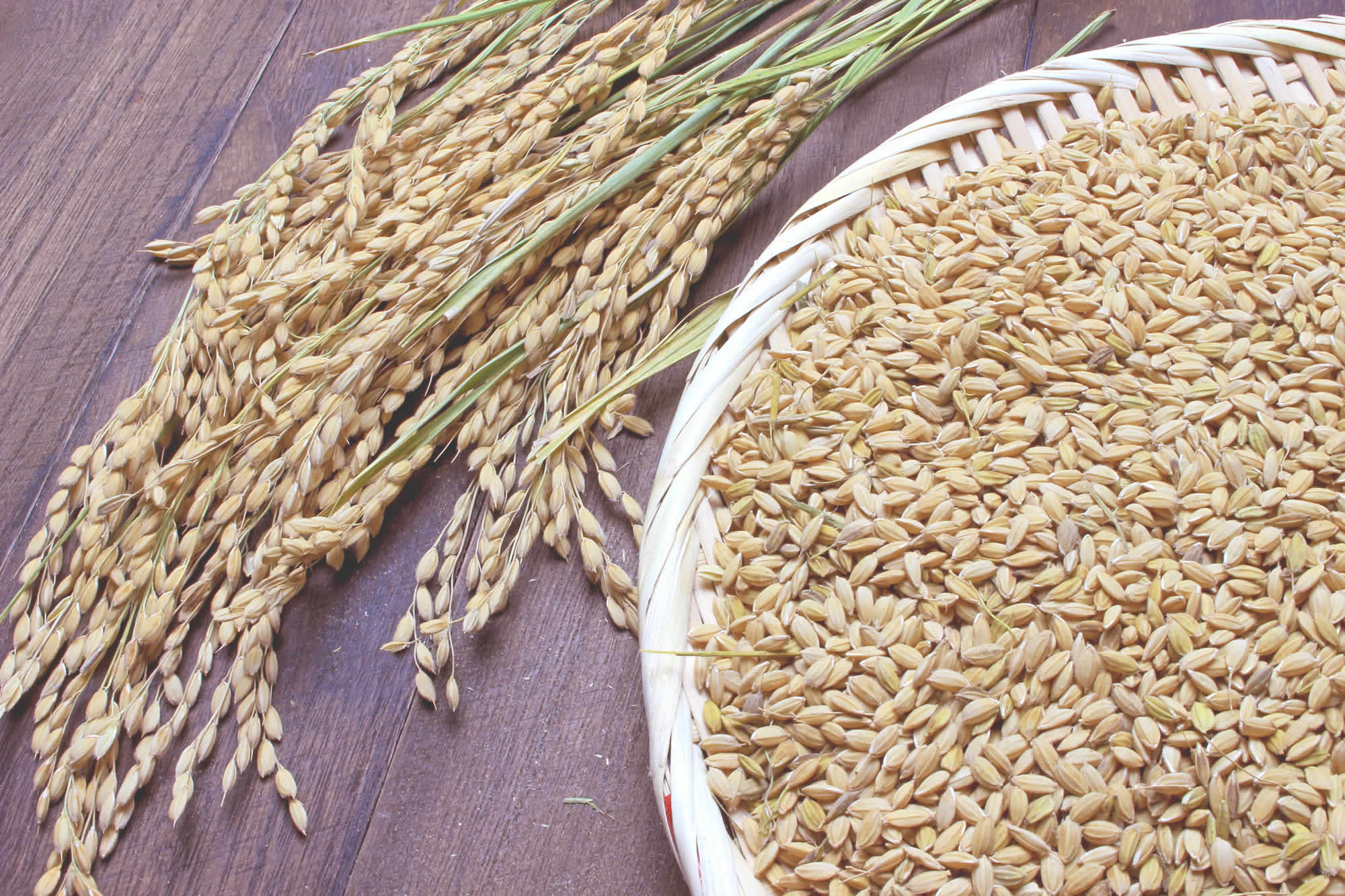 【公式】萩阿武の地酒、日本酒を「萩酒米みがき協同組合」