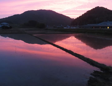 農事組合法人　本郷原 写真イメージ