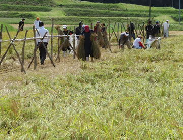 農事組合法人　本郷原 写真イメージ