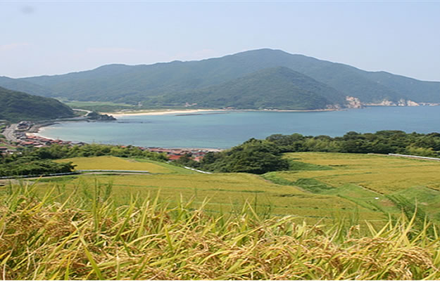 農事組合法人　木与なぎさファーム