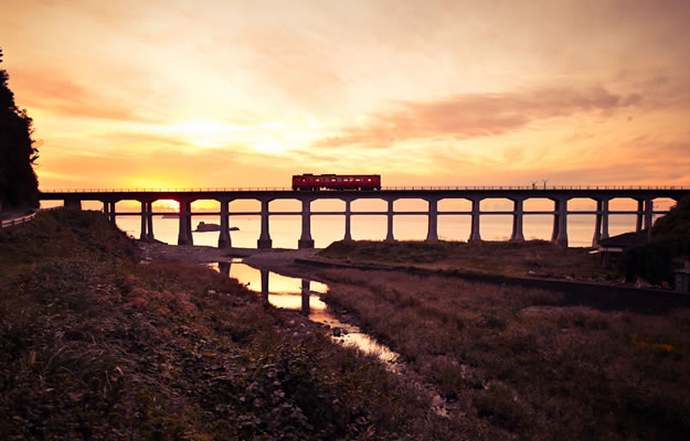 農事組合法人　木与なぎさファーム 代表ご挨拶