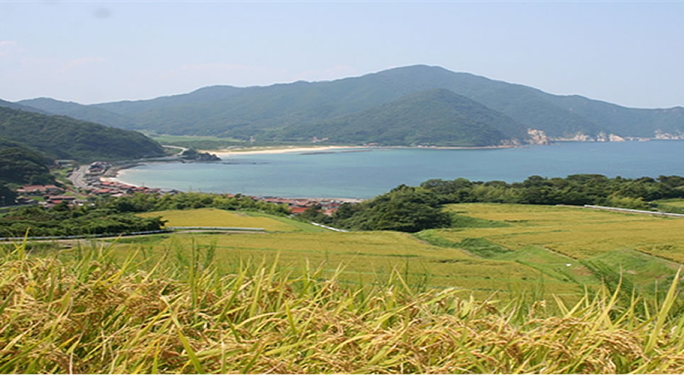 農事組合法人　木与なぎさファーム株式会社