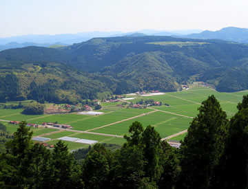 農事組合法人　木与なぎさファーム 写真イメージ