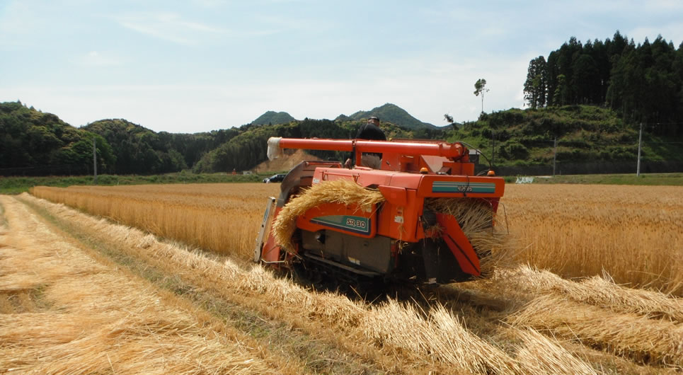 農事組合法人 下田万川